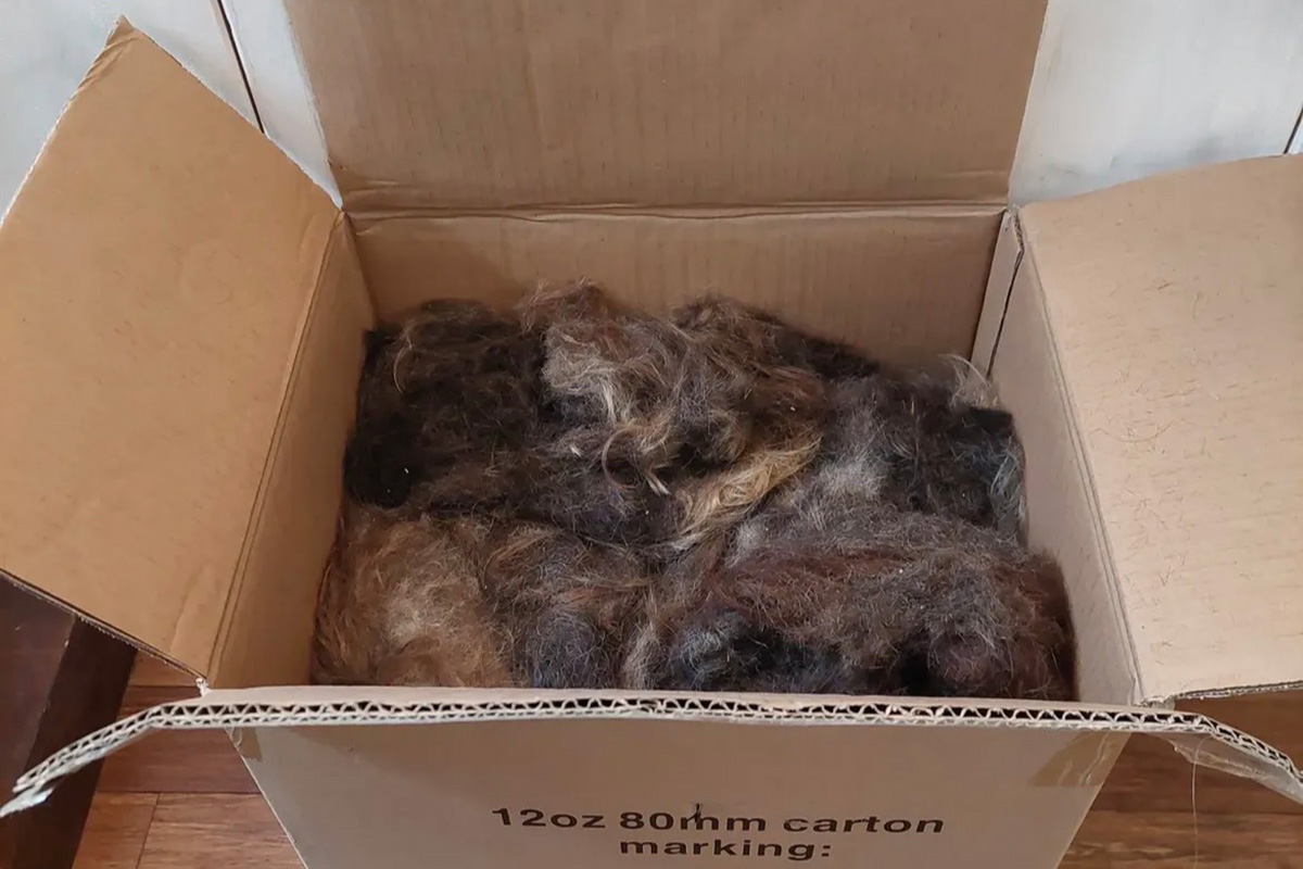 Gesammelte Haarabschnitte für das Recyclingprojekt Hair Help the Oceans