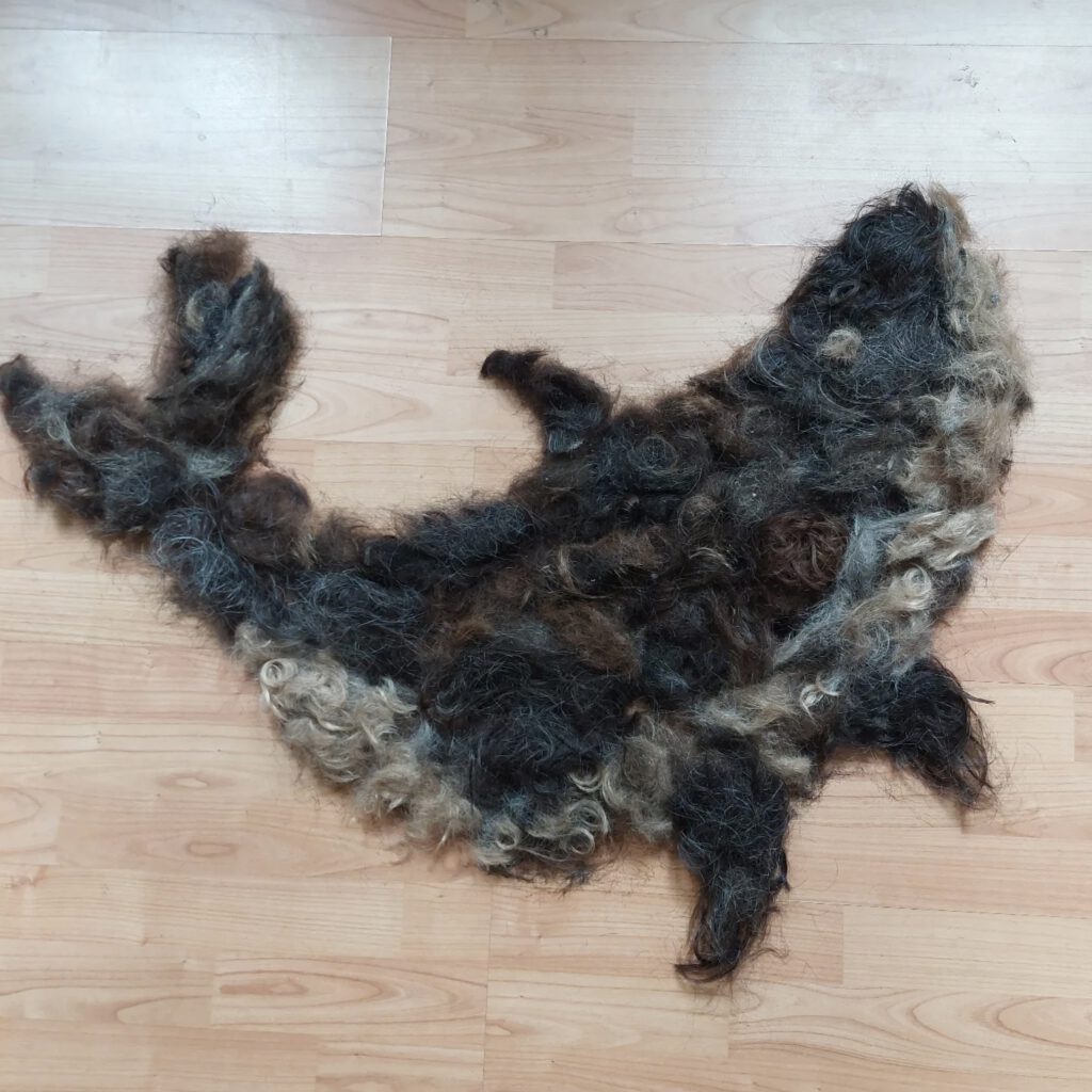 Gesammelte Haarabschnitte aus dem Friseursalon zur nachhaltigen Weiterverwendung
